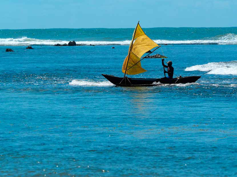 Segelpiroge auf tuerkisblauem Meer